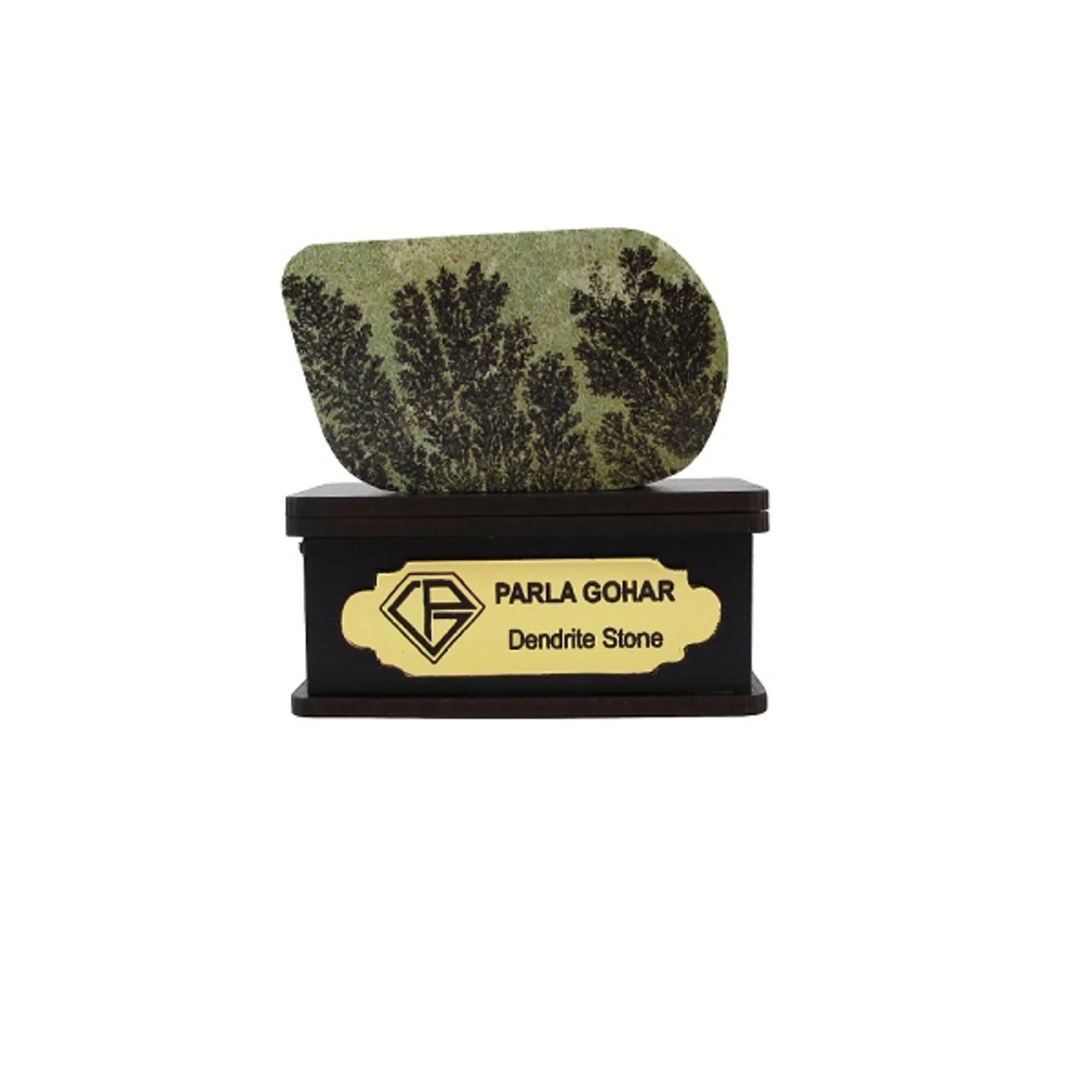 شجر راف کد 2354